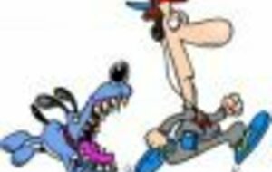 06/12/2025: ANIM'CROSS EA-PO à AVOINE