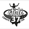 COMITE 37